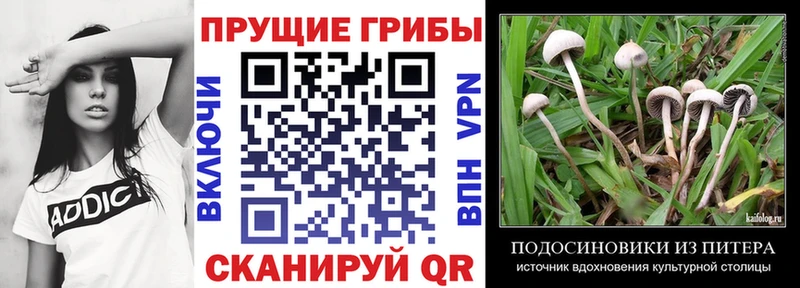 Псилоцибиновые грибы Magic Shrooms  Купить закладки  Углич 